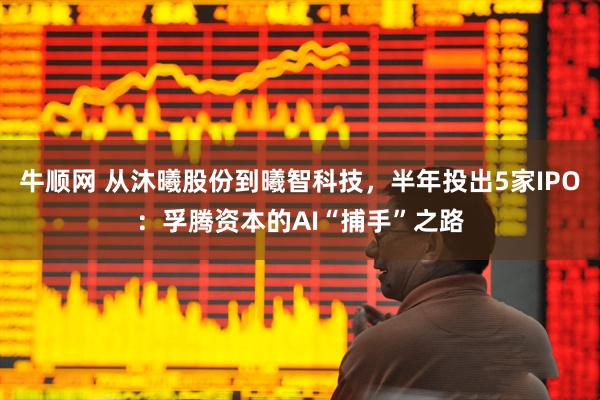 牛顺网 从沐曦股份到曦智科技，半年投出5家IPO：孚腾资本的AI“捕手”之路